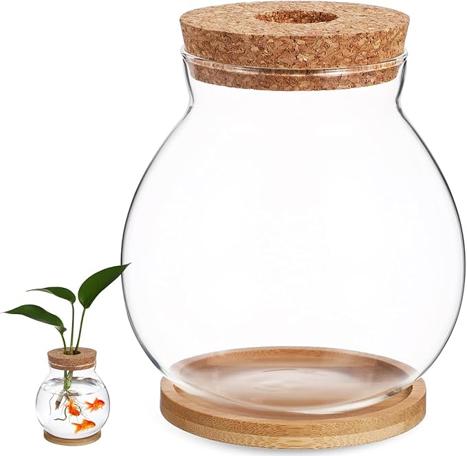 Desktop Hydroponic Fish Bowl Glass Terrarium for Betta Fish with Bamboo Base Small Aquarium for Home Office Decoration
