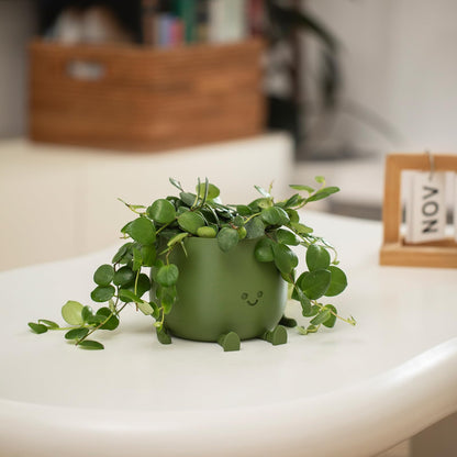 TOPOLA Happy Face Planter, 5.2 Inches Plastic Plant Pot, Self Watering Plant Pot with Drainage Holes for Indoor Outdoor, Succulent Pot, Funny Flower Pot, Dark Green