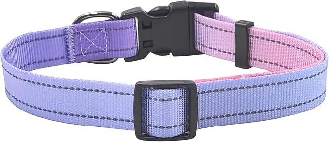 Dog Collar Leash Set, Gradient Color, with Safety Reflective Strips, 5 ft Matching Leash, Neoprene Padded Handle, Adjustable 4 Sizes for Small Medium Large Dogs.(L, Lilac Pink)