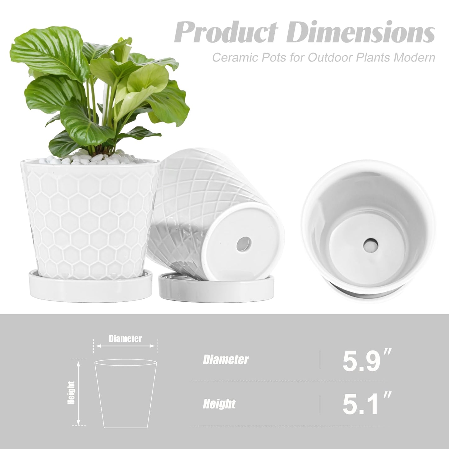BUYMAX Plant Pots Indoor –6 inch Ceramic Flower Pot with Drainage Hole and Ceramic Tray - Gardening Home Desktop Office Windowsill Decoration Gift, Set of 2(White)