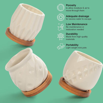 B SEPOR Set of 6 White Simple Porcelain Planters for Small Plant Pots Baby Succulent Cactus with Drainage and Saucer for Home Office Decoration Gift(White Stripes)