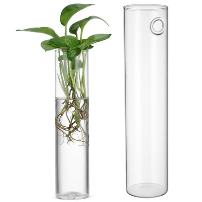 VINTORKY Wall Hanging Glass Cylinder Vases for Indoor Plants, 2pcs Hydroponic Terrarium Plant Holders, Glass Propagation Station for Home Décor