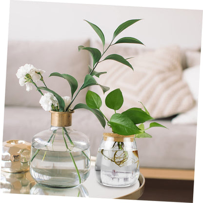 MAGICLULU 2pcs Glass Plant Terrarium Holder for Desktop Decor Moss Plant Bottle for Indoor Greenery Transparent Watering for