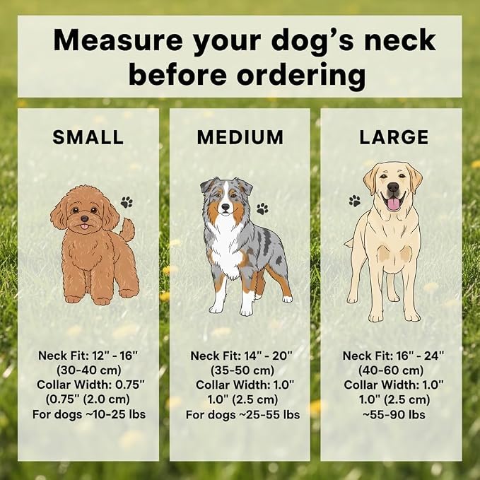 Dog Leash and Collar Set – 6 FT Strong Rope Leash with Padded Handle & Adjustable Nylon Collar Reflective for Small Medium Large Dogs (Pink, L)