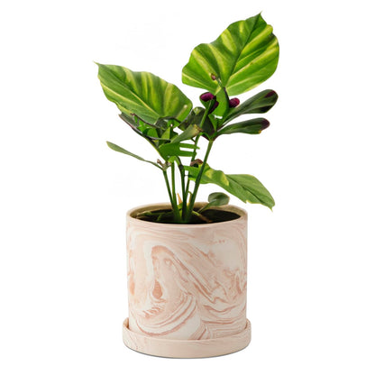 ZICZAMLA 4 inch Plant Pot - Terra Cotta Flower Planters Indoor - Modern Succulents Containers with Drain Hole & Saucer, Decorate Home, Office (Pink)