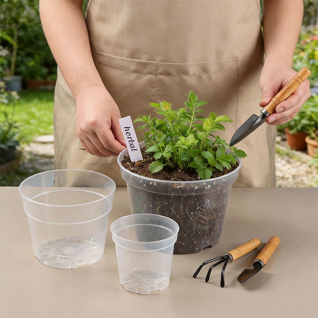 RooTrimmer 15 Pack 8/6/4 Inch Clear Nursery Pots with Drainage Hole, Transparent Plastic Plant pots, Sturdy Planting Starter Pots for Seedlings Herbs Flowers Vegetable (Clear-15P)