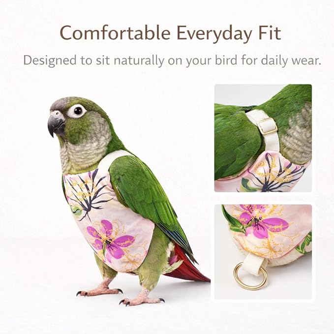 5PCS Bird Diaper Harness Set with Flight Leash and Disposable Liners, Reusable Bird Diapers for Parrots Conures Cockatiels Parakeets, Adjustable Bird Harness for Indoor Companion Birds(L)