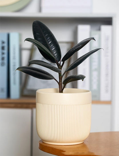 Puoyikt Ceramic 5.2+6.5 inch Planters, Modern Home and Office Flowerpot, Indoor and Outdoor Flowerpot with Drainage Hole (Yellow)