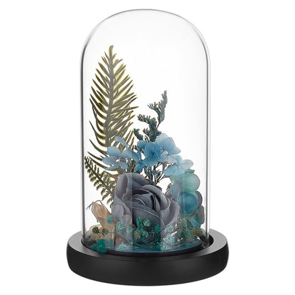 BENECREAT Glass Cloche Dome with Wood Base, 6.18x2.99inch Arch Display Dome for Plants and Collectibles, Complete Set Glass Bell Jar with Solid Wood Stand for Home Decor, Black