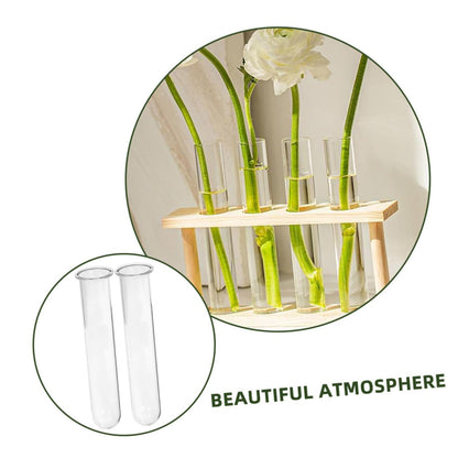 SEWOART 5pcs Hydroponic Test Tube Vase for Terrarium Flower Arrangements Glass Tube Vases for Indoor Plants
