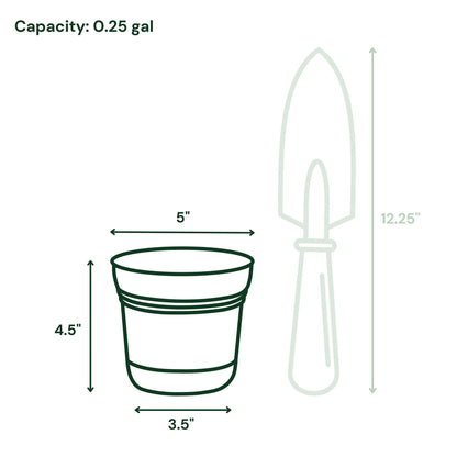 Bloem Saturn 5" Fuchsia Round Planter Pot with Snap-in Saucer for Indoor or Outdoor Gardening, Made in USA