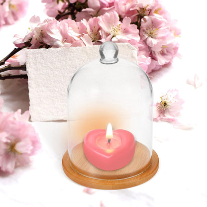 DEARMAMY Clear Glass Dome Cloche with Base Bell Jar Display Dome Office Home Decoration for Plants Succulents Fairy Lights Photos Medals Decorative Fill Collectibles