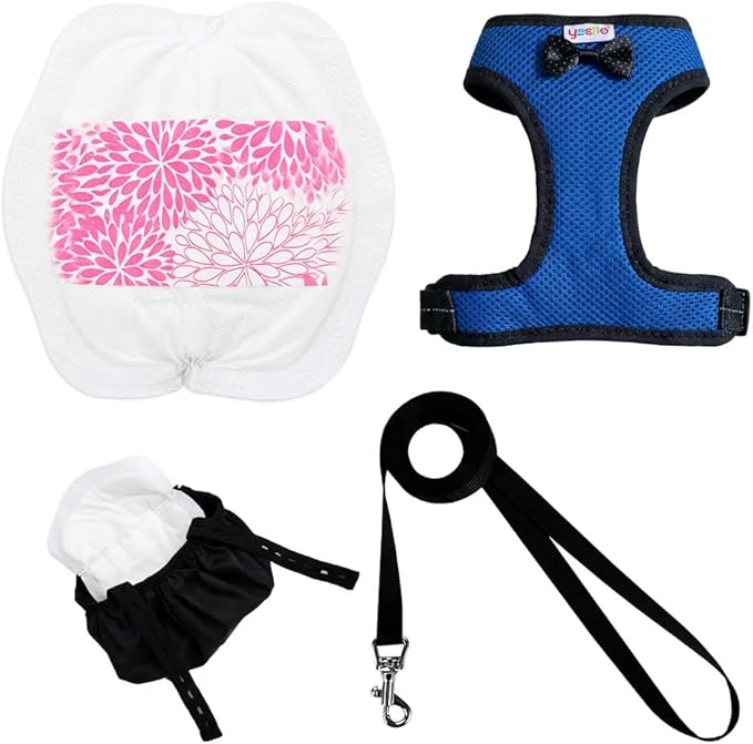 Washable Chicken Diaper Harness with Poop Bag | Leak-Resistant Adjustable Vest for Hens Ducks, Indoor Pet Poultry, 12-Hour Dryness Tested (Large, Blue)