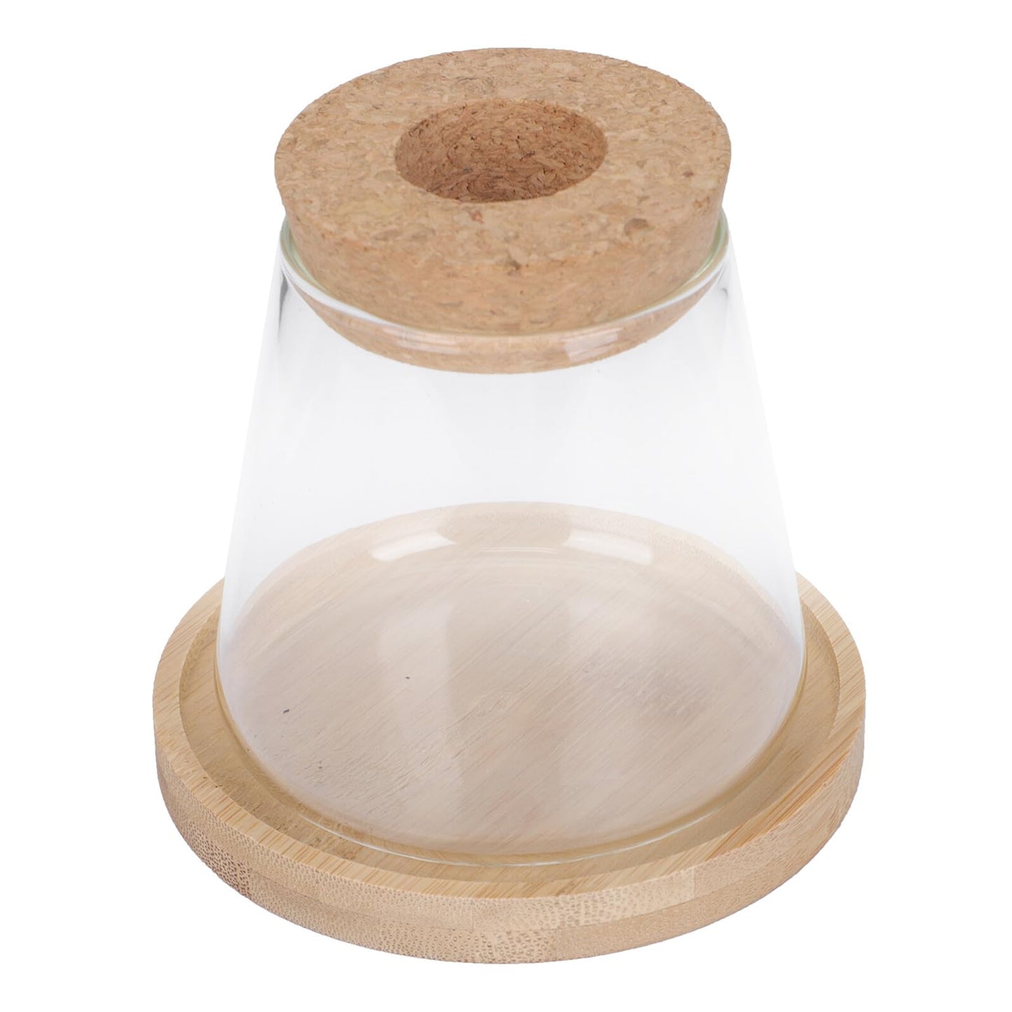Beaupretty Hydroponic Glass Vase with Wooden Stand, 1-Set Ecological Bottle for Plant Propagation, Home and Office Gardening Terrarium Planter
