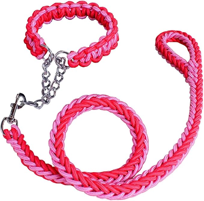Love Dream Dog Collar and Leash Set, Heavy Duty Nylon Braided Rope Strong 4 FT Dog Leash and Martingale Training Collar for Small Medium Large Dogs Training and Walking (Red & Pink)