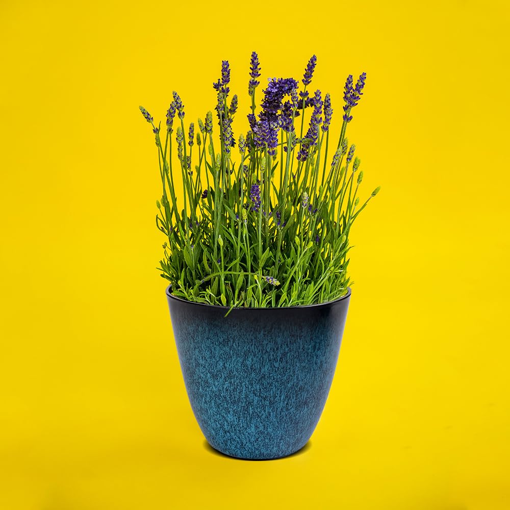 RICH ATLAS 3Pack Plant Pots Durable Decorative Flower Pots,6 Inch Planter Set for Indoor and Outdoor Plants,Flowers,Succulents (Blue)