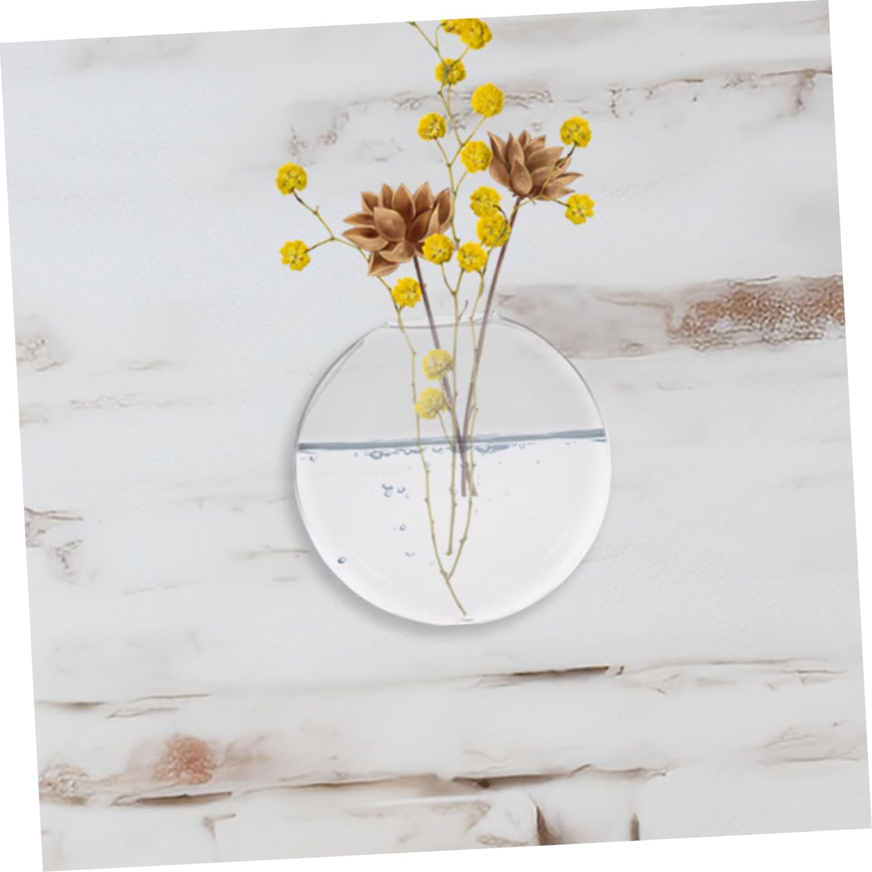 Mobestech 2pcs Glass Flower Vase Wall Mount Hydroponic Wall Plant Terrarium Decorative Hanging for Indoor Plants