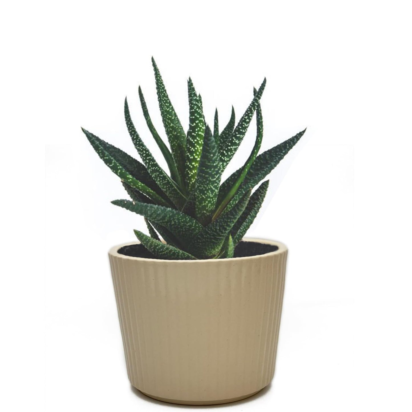 Perilla Home Single Ceramic Handmade Planter Pot for Indoor & Outdoor with Drainage Hole for Home & Office Decor Modern Flower Planter Pot (6.75x6.75 inch) (Off White) (1Pcs)