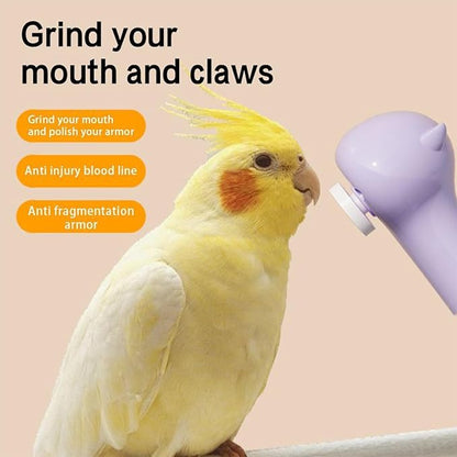Bird Beak Trimmer, USB Rechargeable Pet Clippers, Conure Grooming Nail Trimmer, for Trimming, Grinding, Maintenance, Daily Care, Cockatiel, Lovebirds