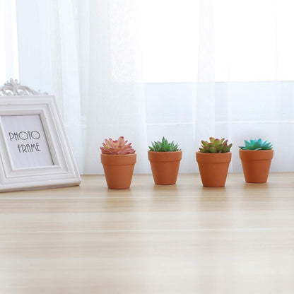 T4U 2 Inch Terracotta Clay Pots Pack of 12 - Mini Hand Craft Nursery Plant Pot Succulent Cactus DIY Pottery Planter Home Garden Windowsill Decoration Christmas Gift