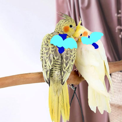 Cockatiel Harness and Leash, Adjustable Parrot Bird Training Design Anti-Bite, Bird Nylon Rope with Cute Wing for Cockatiel and Same Size Birds (L, Blue)