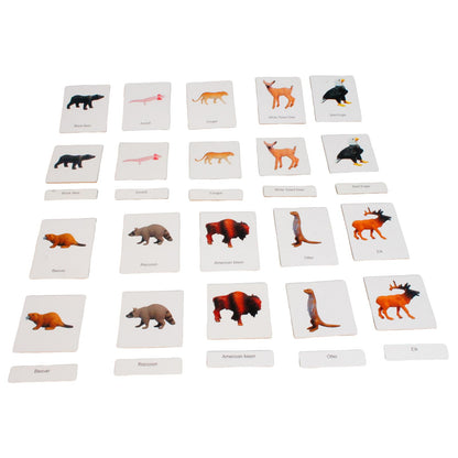 ancona North American Animals, Spanish/English Bilingual, Montessori Preschool Memory Matching Game Box Set with Animal Figurines & 3-Part Cards, Early Education Toy
