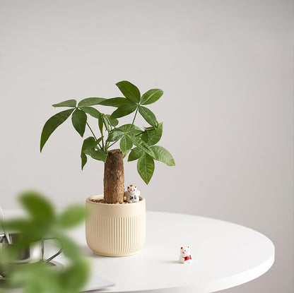 Puoyikt Ceramic 5.2+6.5 inch Planters, Modern Home and Office Flowerpot, Indoor and Outdoor Flowerpot with Drainage Hole (Yellow)