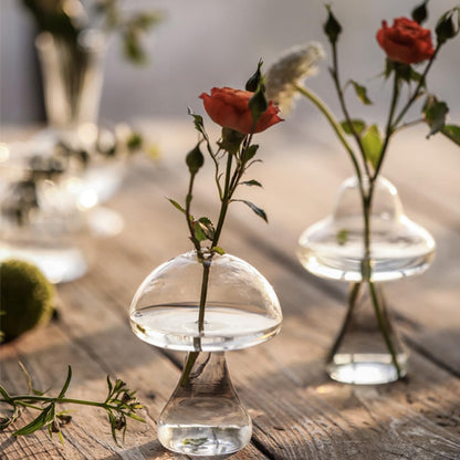 Zerodeko 2pcs Mushroom Shaped Glass Vases for Flowers Small Hydroponic Terrarium Plant Holders Decorative Office and Home Décor Containers