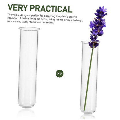 Abaodam 5pcs Clear Glass Test Tube Propagation Vases Multi-use Hydroponic Plant Holders for Home and Office Decor Elegant Terrarium Flower Display Sturdy Design