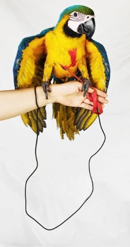 Adjustable Bird Harness with 78.7 Inch Leash, Outdoor Flying Training Rope Kit for Bird Parrots, Parrot Flying Rope Straps Outdoor Training Traction Rope for Small Medium Large Size Birds (XL)
