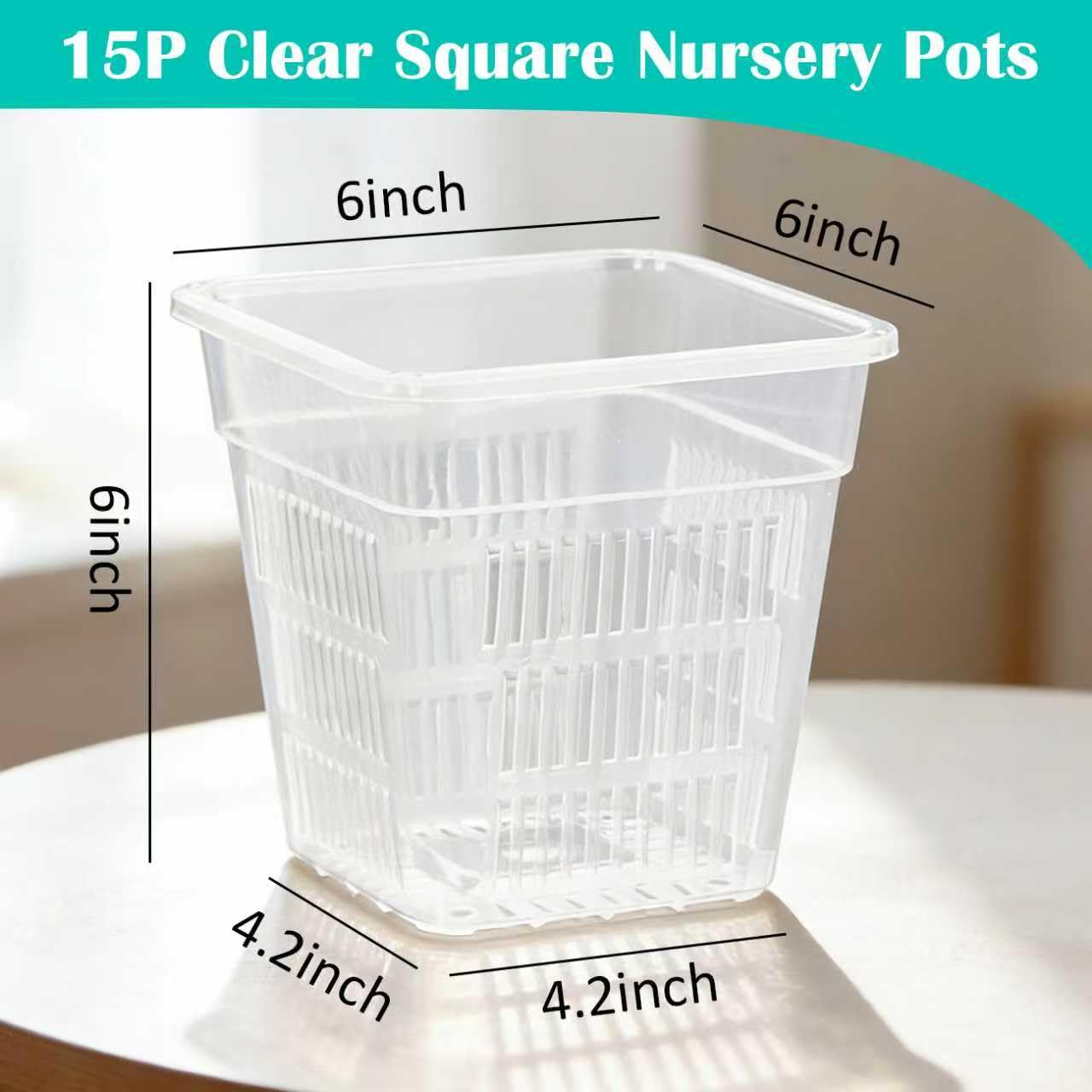 BTPLASTIK Clear Square Nursery Pots, 15 Packs 6 Inch Hydroponics Growing Square Pots, Transparent Plastic Plant Pots for Seed Starting, Root Cutting