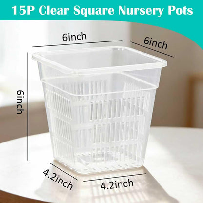 BTPLASTIK Clear Square Nursery Pots, 15 Packs 6 Inch Hydroponics Growing Square Pots, Transparent Plastic Plant Pots for Seed Starting, Root Cutting