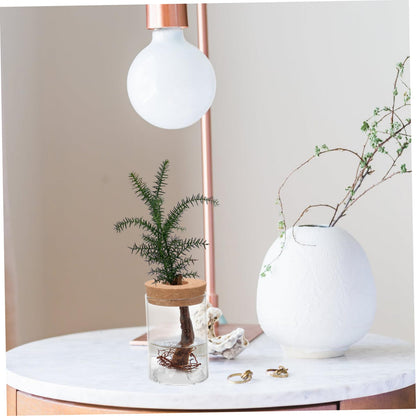 MAGICLULU Plant Pots Succulents Terrarium Glass Holder Flower Arrangement Vase Decor Office Flower Pot