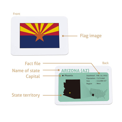CARDDIA | U.S. State Flags Flashcards | 50 States with Names, Abbreviations, Capitals & Facts | Educational & Durable | Geography Learning Tools for Kids & Adults
