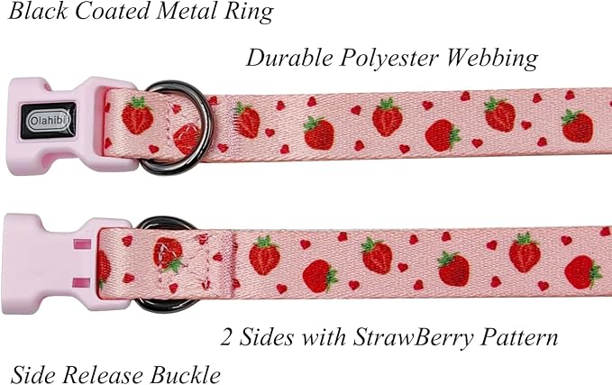 Dog Collar Leash Set, Fruit Pattern, Polyester Material, Adjustable Collar and 5ft Matching Leash, for Medium Dogs.(M, Strawberry)