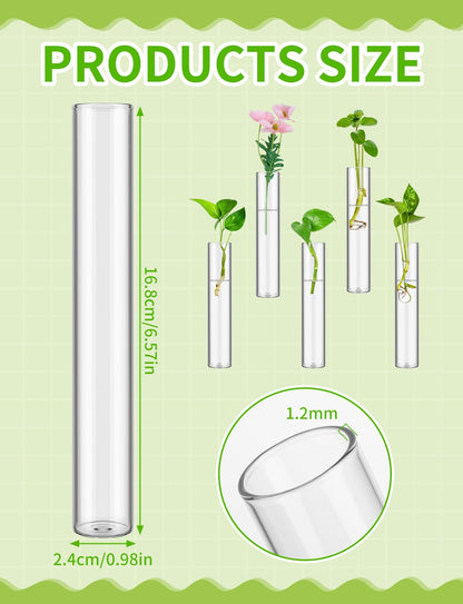 8 Tube Glass Plant Propagation Stations Clear Glass Test Tubes Tiered Planters Accessories for Home Office Plant Hanger Flower Vases Wall Decor Hydroponic Cuttings Clear Vases