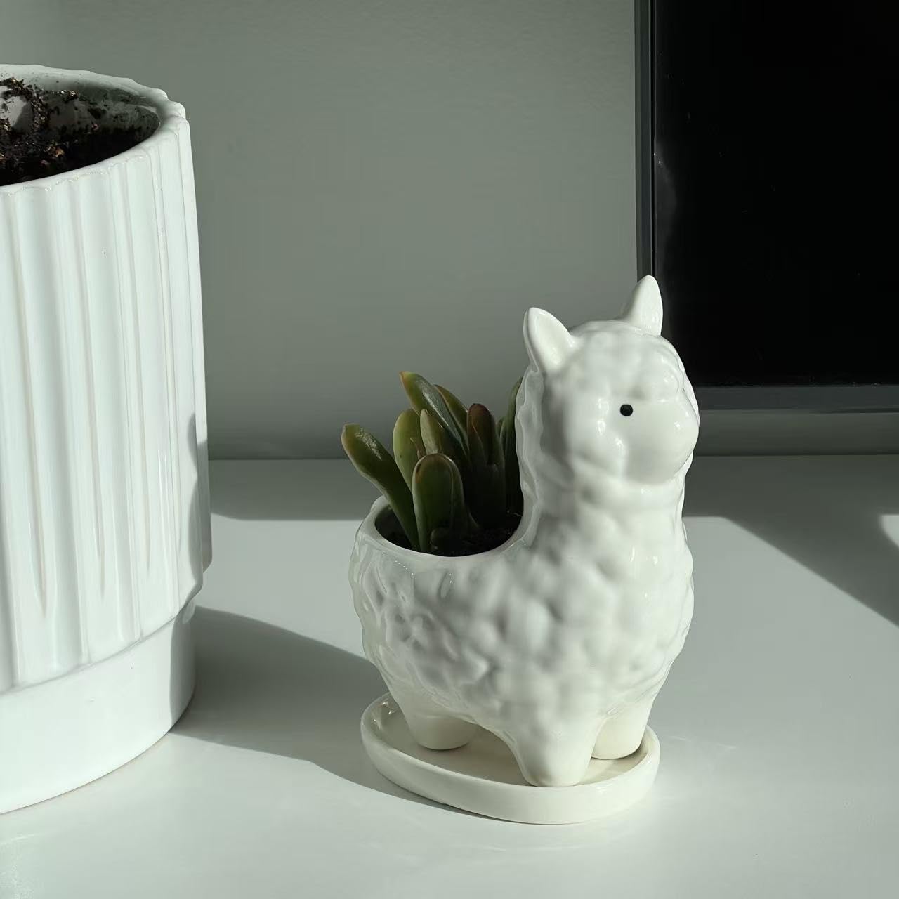 Succulent Planter Pot with Drainage Hole – White Ceramic Animal Pot for Small Plants, Cactus, Flowers – Indoor Outdoor Garden Patio Balcony Decor, Cute Gardening Gift, 6 Inch