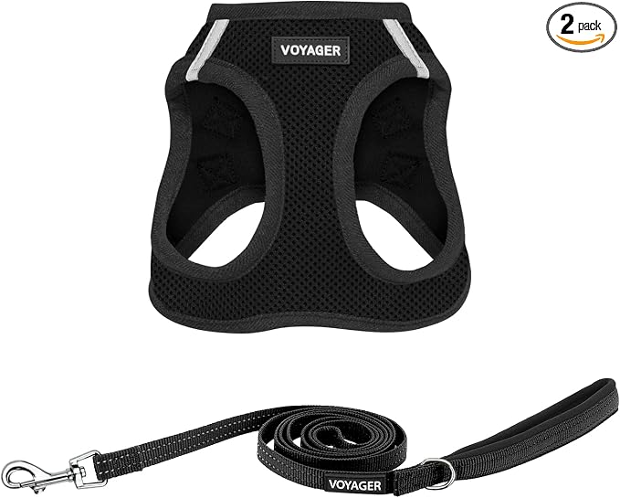 Best Pet Supplies Voyager Step-in Air All Weather Mesh Harness and Reflective Dog 5ft Leash Combo with Neoprene Handle, for Small, Medium and Large Breed Puppies - Black, Small