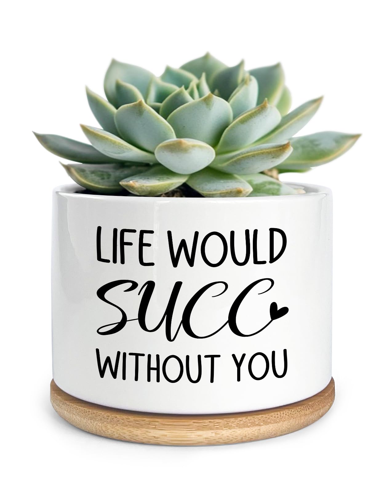 Cgvovgr Funny Life Would SUCC Without You Ceramic Succulent Planter Cactus Pots, Office Windowsill Decor Indoor, Succulent Pots for Women Plant Lovers, 3.5 inch (Plant Not Included)
