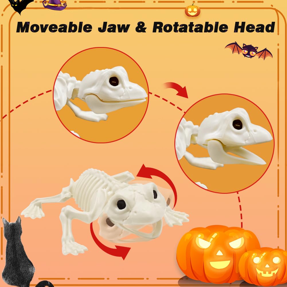 LUKBERA 6pcs Halloween Animal Skeletons, Bat Frog Scorpion Spider Snake Rat Skeletons for Halloween Party Haunted House Graveyard Scene Decoration
