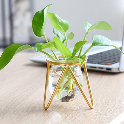 DOITOOL Hydroponic Glass Vase with Metal Stand, Small Decorative Succulent Planter Bulb, Gold Desktop Plant Container for Indoor Terrarium and Home Décor