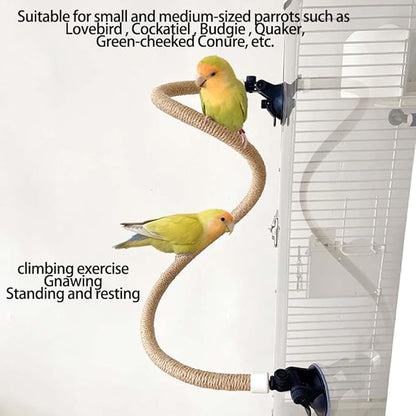 Suction Cup Set for Bird Window/Bath/Car/Travel Perches - Suitable for Small and Medium Bird Parrot Parakeet Cockatiel Conure Budgie Lovebirds