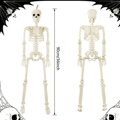 JIALWEN 36" Halloween Posable Skeleton Decorations, 3FT Realistic Plastic Human Full Body Bones with Movable Joints Skeleton for Haunted House Graveyard Props Indoor Outdoor Halloween Party Supplies