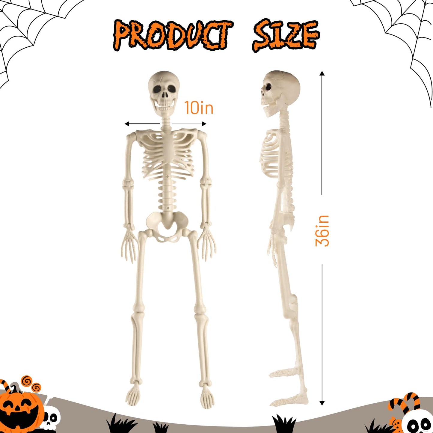 2 Pack 36" Halloween Skeleton, 3 ft Human Skeleton Full Body Posable Joints Plastic Skeleton for Halloween Decoration, Yard Patio Lawn Garden Skeleton Spooky Party Decoration Indoor Outdoor