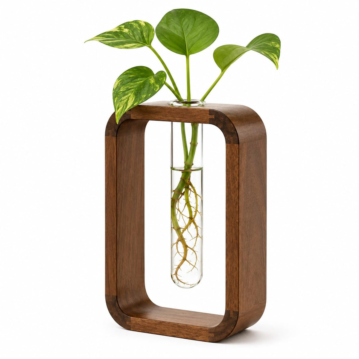 TerraSol Modern Wooden Frame Glass Vase Hydroponic Planter – Minimalist Square Propagation Station with Test Tube Vase – Indoor Plant Terrarium for Flower, Cuttings & Home Office Decor