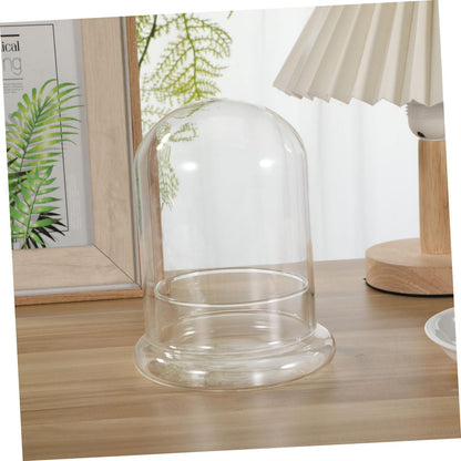 FONDOTIN Glass Terrarium Display Dome Moss Bottle for Plants Design with Opening for DIY Micro Landscapes and Home Decor