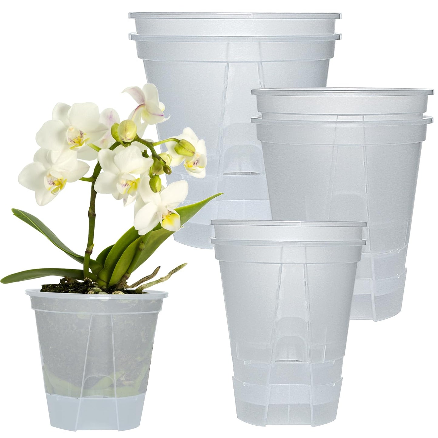 Cdd's Path 6-Pack Bare Root Planter Self Watering Pots Set with Holes for Indoor/Outdoor Plants, 2 Each of 5, 6 and 7 Inch Planter Pot with Watering Hole/Reservoir and Air Pipes, Clear