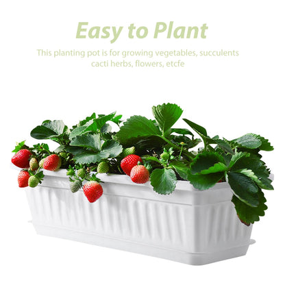 Healvian Rectangular Plastic Planter Pot 2 Pack with Drainage Saucers 5.5X7.4X5.5 Inches Indoor Outdoor Garden Vegetable Succulent Flower Box