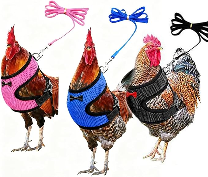 Chicken Harness and Leash Set Adjustable Mesh Breathable Duck Training Harness Pets Leashs for Goose Hen Rooster Parrots Dog Kitten, Blue L