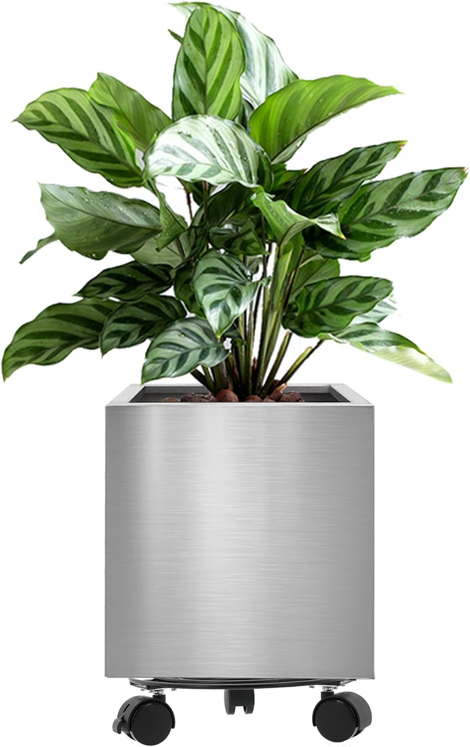 LONGRUNNEW Stainless Steel 25cm Square Planter with Wheels Trolley, Large Plant Pots for Indoor, Outdoor, Business Space, Public Places, Easy to Clean and Move